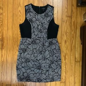 COPY - The Limited Dress